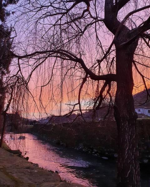 Agriturismo Terrarossa Pistoia Zewnętrze zdjęcie