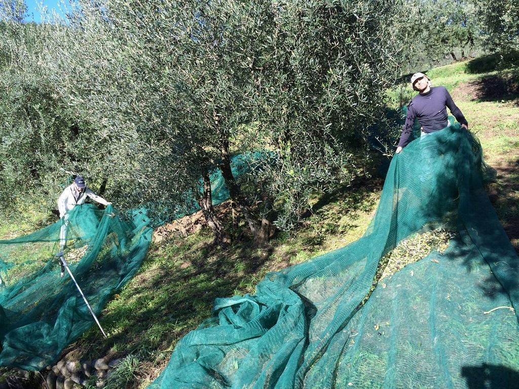 Agriturismo Terrarossa Pistoia Zewnętrze zdjęcie