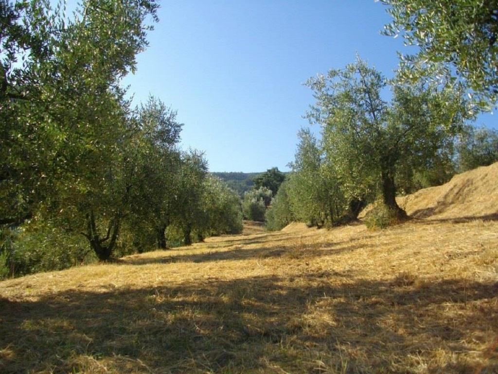 Agriturismo Terrarossa Pistoia Zewnętrze zdjęcie