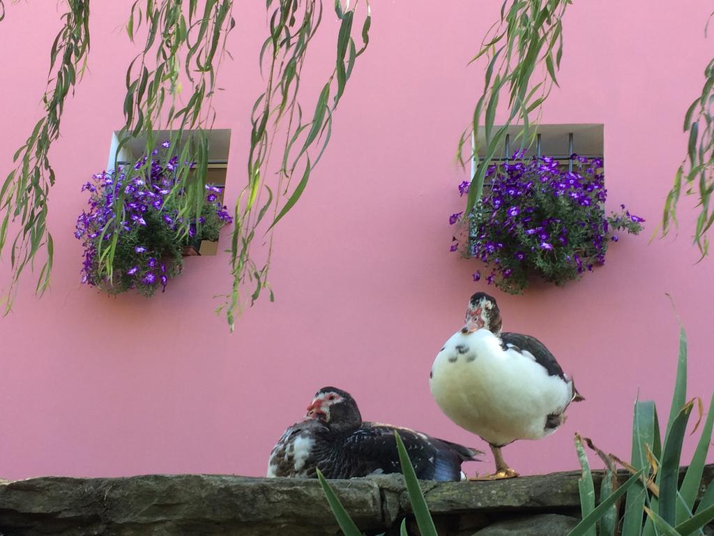 Agriturismo Terrarossa Pistoia Zewnętrze zdjęcie