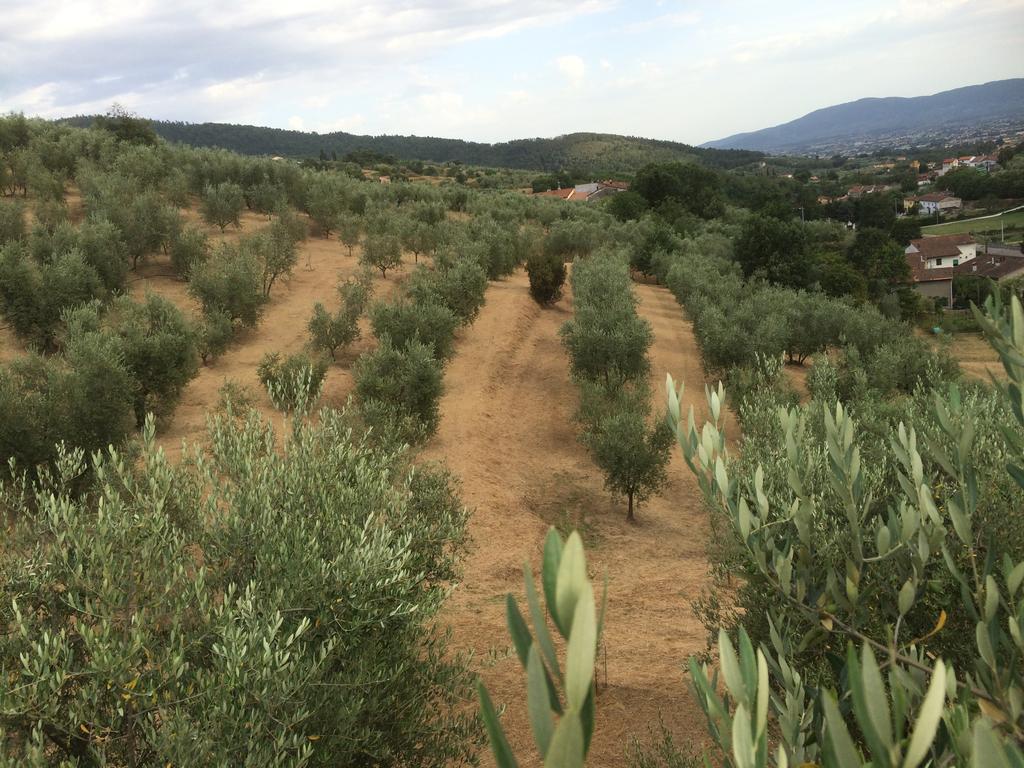 Agriturismo Terrarossa Pistoia Zewnętrze zdjęcie