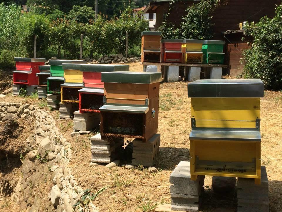 Agriturismo Terrarossa Pistoia Zewnętrze zdjęcie