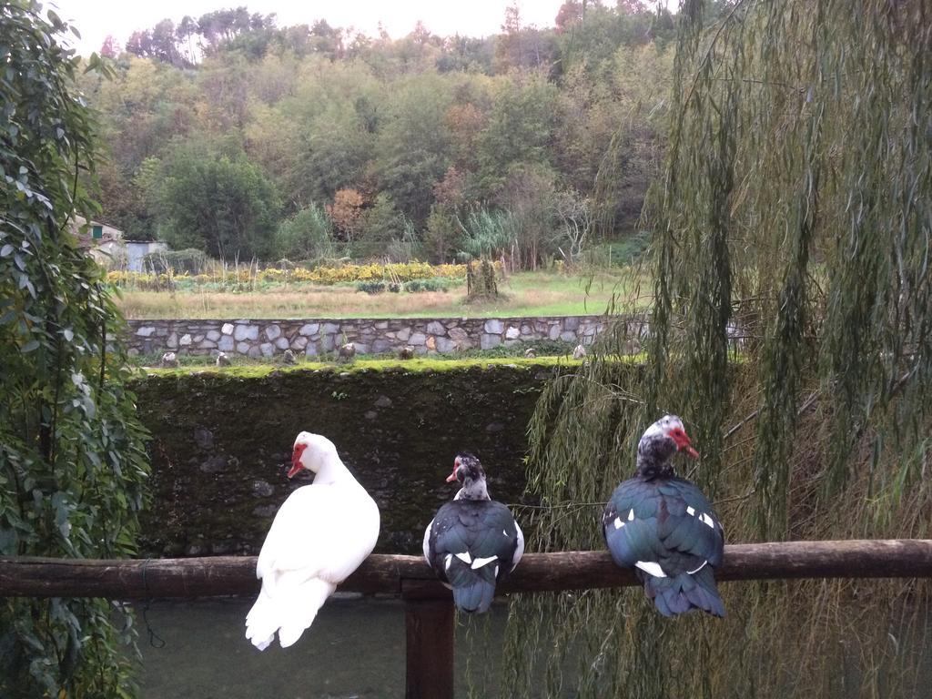 Agriturismo Terrarossa Pistoia Zewnętrze zdjęcie